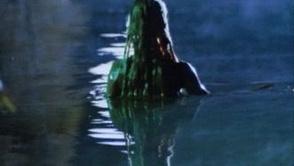Episode 4 The Legend of the Swamp Maiden