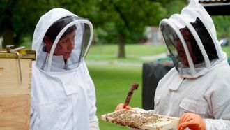 Episode 13 Beehives 101, Step Stool