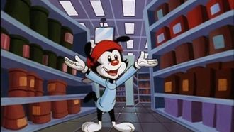 Episode 17 Ten Short Films About Wakko Warner