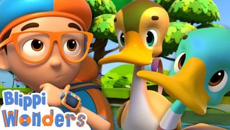 Episode 19 Sink or Float With Ducks!
