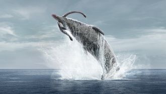 Episode 4 Oceans