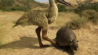 Episode 4 Terror Bird