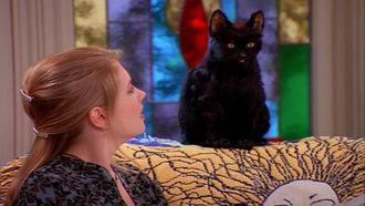 Episode 19 Cat Showdown