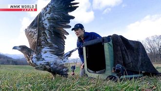 Episode 1 Wildlife Vet - Saito Keisuke