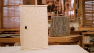 Episode 2 Bow-Front Cabinet in Ash
