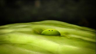 Episode 17 Lettuce
