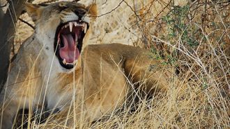 Episode 10 Namibia 2