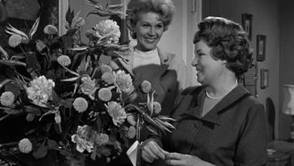 Episode 18 Hazel's Secret Wish