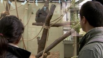 Episode 2 The Fifth Ape