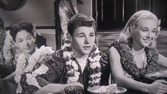 Episode 27 The Hawaiian Party