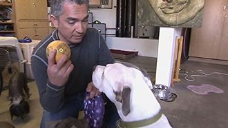 Episode 30 Dueling Pit Bulls
