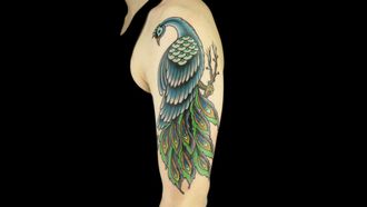 Episode 3 Ruffled Feathers