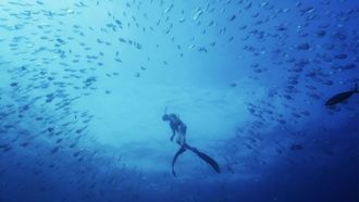 Episode 2 The Sub Tropical Zone