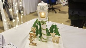 Episode 1 Dashing through the snow, with my competition cake