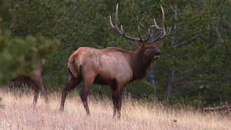 Episode 6 Protecting Montana's Wild