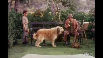 Episode 29 Ernie and the O'Grady