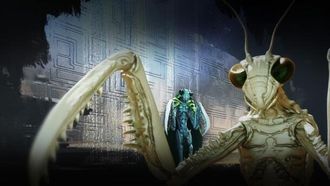 Episode 9 The Mantis & Insectoids