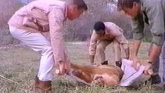 Episode 6 Leopard of Madla Gorge