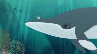 Episode 27 The Sad Whale