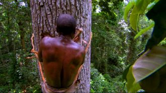Episode 4 Jungles: People of the Trees