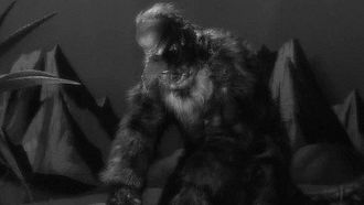 Episode 13 The Duplicate Man
