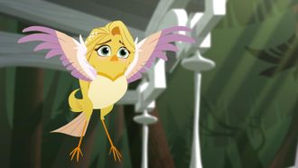 Episode 5 Freebird