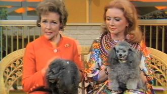 Episode 21 Amanda Blake