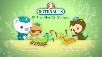 Episode 6 Octonauts and the Mantis Shrimp