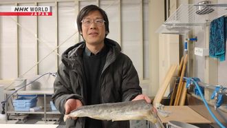 Episode 5 Fish Leather Maker - Noguchi Tomohisa