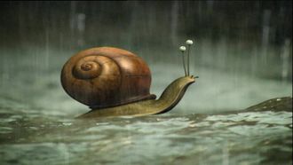Episode 50 It Never Rains But It Pours