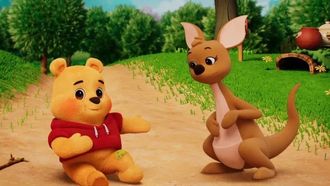 Episode 17 Pooh Bear's Boo Boo