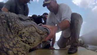 Episode 5 Gator Country