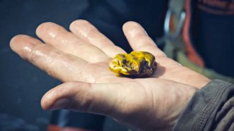 Episode 6 Fred's Golden Gift