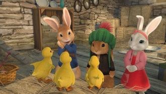 Episode 19 The Tale of the Missing Ducklings