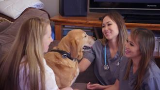Episode 4 Doggy Blood Bank