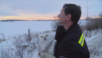 Episode 3 Owl Be Seeing You