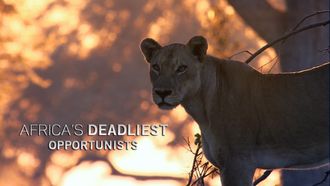 Episode 1 Opportunists