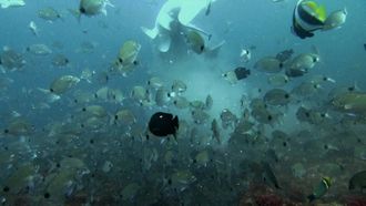 Episode 3 Killers of the Deep
