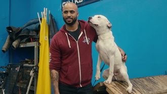 Episode 6 Lost And Found Dogs