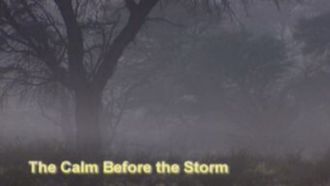 Episode 12 The Calm Before the Storm
