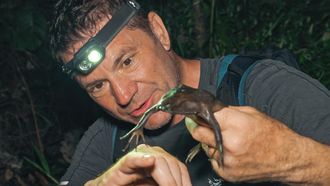 Episode 8 South America’s Weirdest