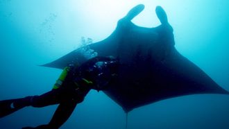 Episode 6 Ecuador Oceans