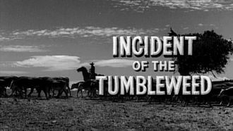 Episode 1 Incident of the Tumbleweed