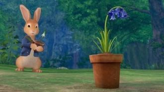 Episode 46 The Tale of the First Bluebell