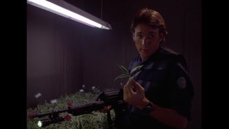 Episode 7 By Any Other Name