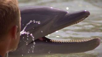 Episode 25 Dolphin Tale: Part 1