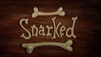 Episode 10 Snarked!