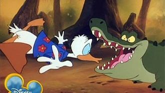 Episode 29 Gator Aid