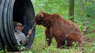 Episode 5 Teenage Bears