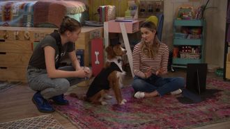 Episode 12 Dog WedDING!